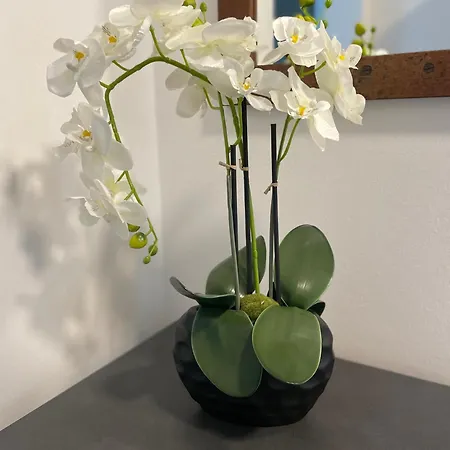 Sorinas Wb16 6 Wagersbach