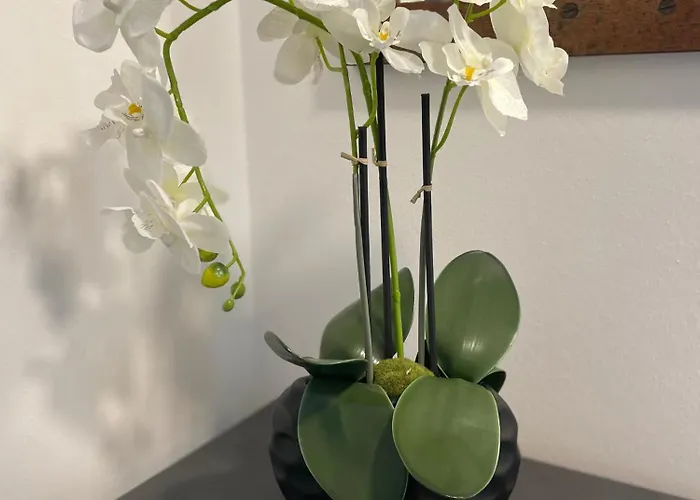 Sorinas - Comfortable Near Graz - Free Parking Wagersbach